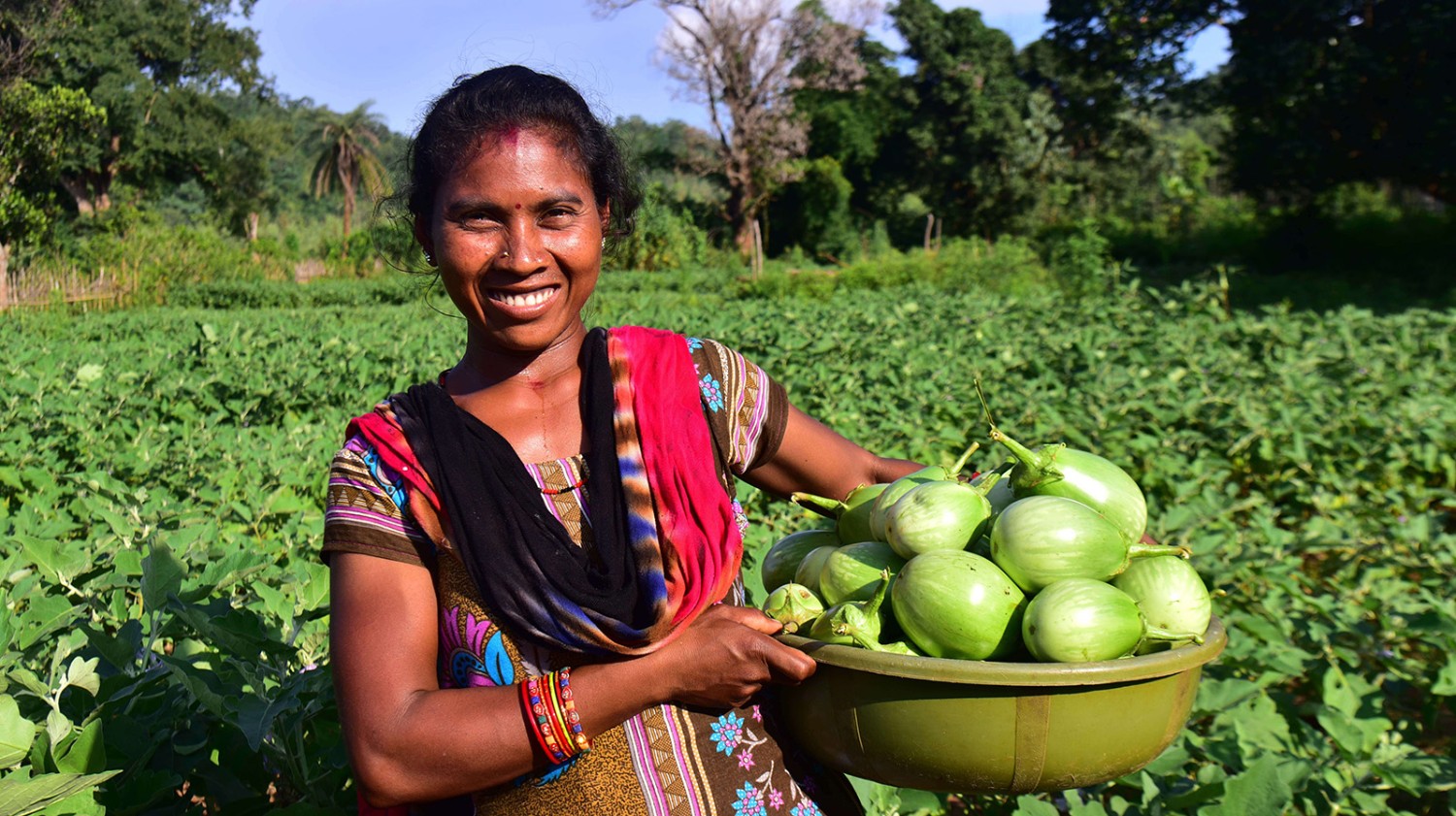 https://walmart.org/content/walmart-org/en_us/news/2023/smallholder-women-farmers-see-improved-financial-independence-with-support-from-walmart-foundation-grantees/jcr:content/par/image_2.img.jpg/1697123278499.jpg